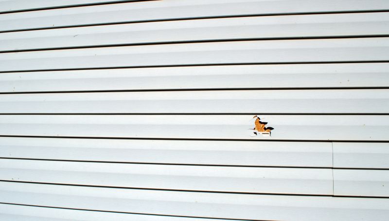 Finished Vinyl Siding Project